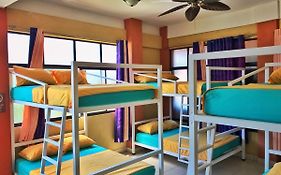 Sandy Toes Hostel